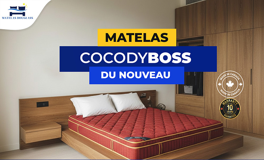 COCODY BOSS 30cm